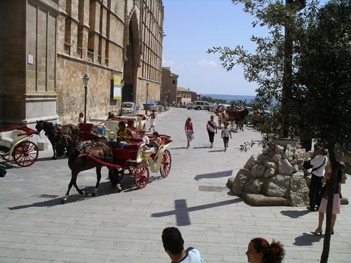 Palma 14.jpg